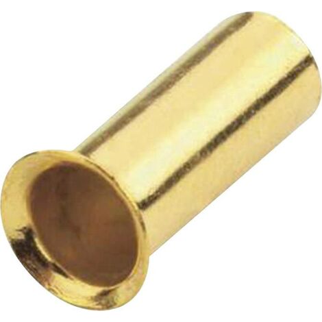 Sinuslive Embout 1 x 4 mm² doré Y40740