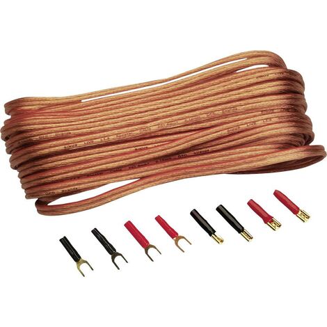 Sinuslive Jeu de câbles pour haut-parleurs HiFi auto 2 x 1.5 mm² 10.00 m avec fiche mâle