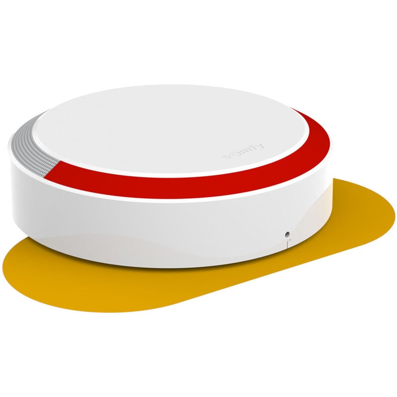 Somfy - 2401491 - Sirène extérieure sans fil - Compatible Home Alarm (Advanced) et One (+) - 112dB & Flash lumineux