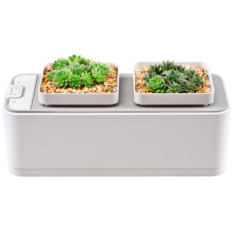 Sistema de cultivo hidropónico de interior, maceta de escritorio, indicador de nivel de agua, sin tierra, 2 macetas para el hogar, la oficina, verduras, flores y hierbas, jardinería.