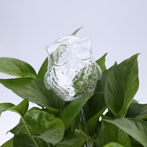 Sistema de riego automático para plantas de interior, depósito de agua de vidrio de borosilicato de alta calidad, recipiente transparente con forma de búho de 28 cm – 1 unidad