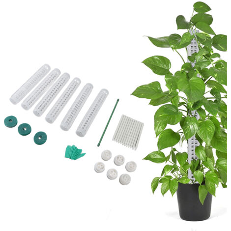 Sistema de soporte para plantas de musgo de 6 piezas fabricado en plástico con marca individual para Monstera, Pothos y Hiedra, apilable hasta 25 cm, incluye accesorios.