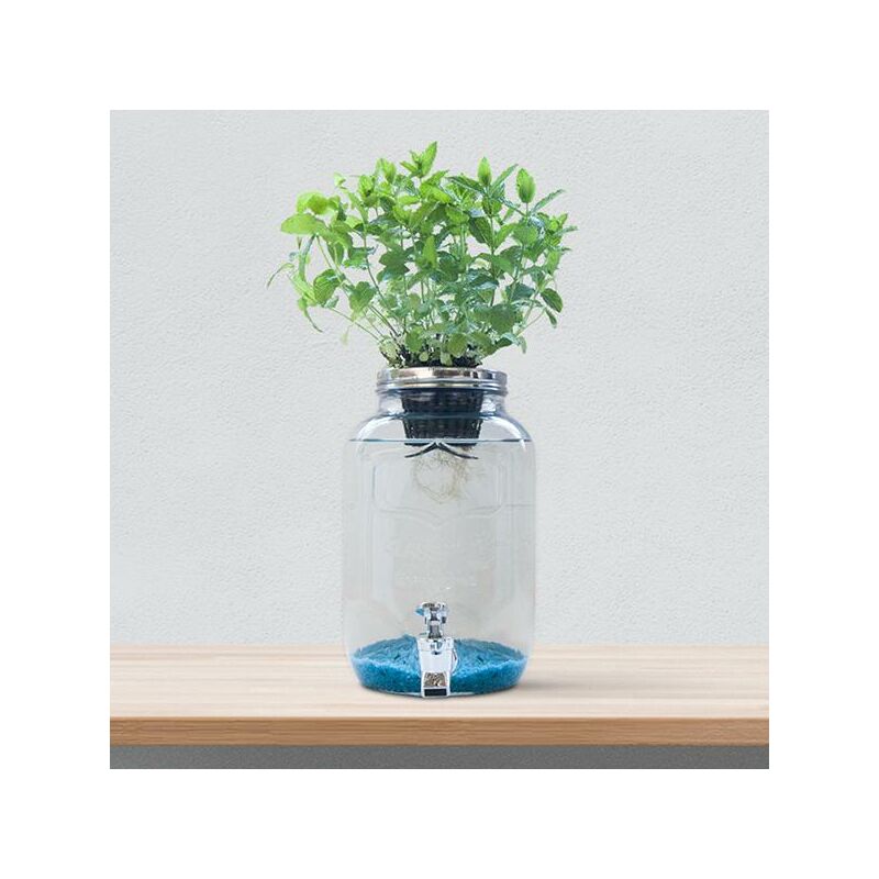 

Sistema Hidropónico Blue Jar