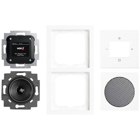 Sistema radio Busch-Jaeger Busch-Radio DAB+ display colore 8 stazioni