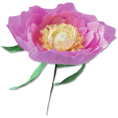Sizzix Thinlits Die Set 5PK Wild Peony di Lisa Jones, 664926, Multicolor, Taglia unica