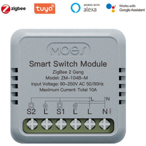 SJLERST Module de commutation intelligent Tuya ZigBee portable pour domotique, contrôle de temporisation et commande vocale