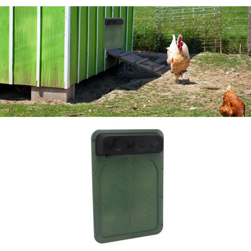 Porte Automatique de Poulailler, Porte de Poulailler Sre nergie Solaire, Porte Automatique de Poulet avec Capteur de Lumire pour Volaille (Vert)