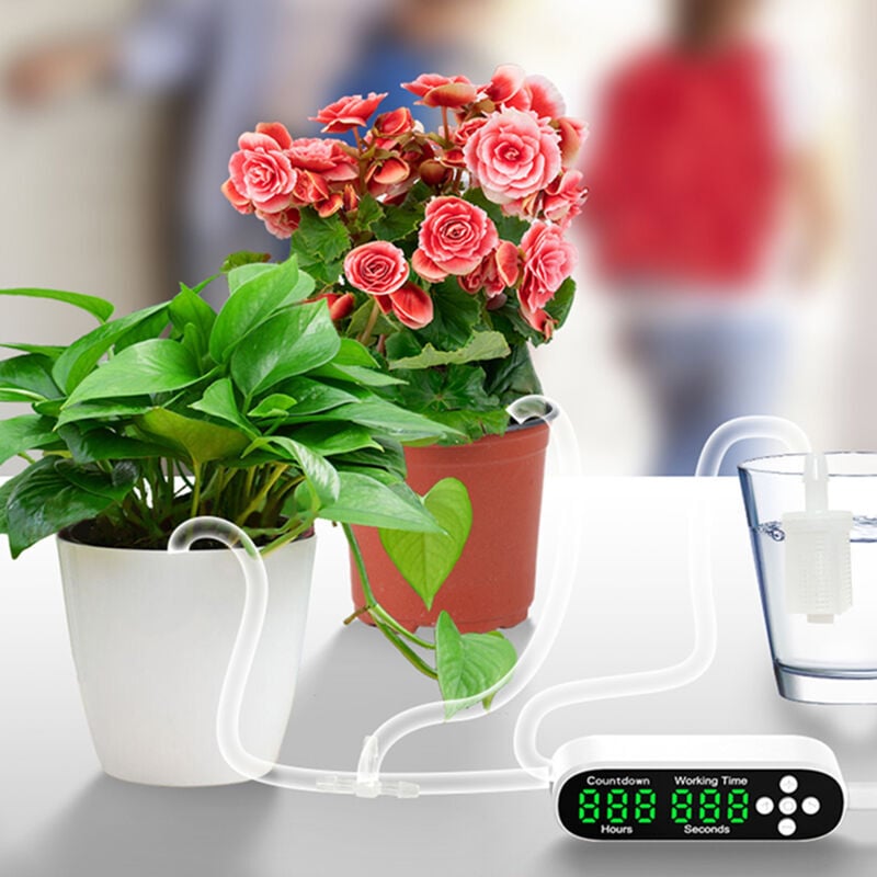 SNQ - Système d'arrosage de plantes en pot, kit d'irrigation goutte à goutte, arrosage automatique des plantes avec compte à rebours et affichage