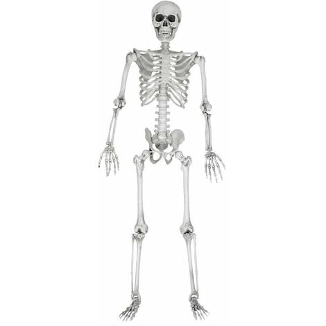 Halloween skelett