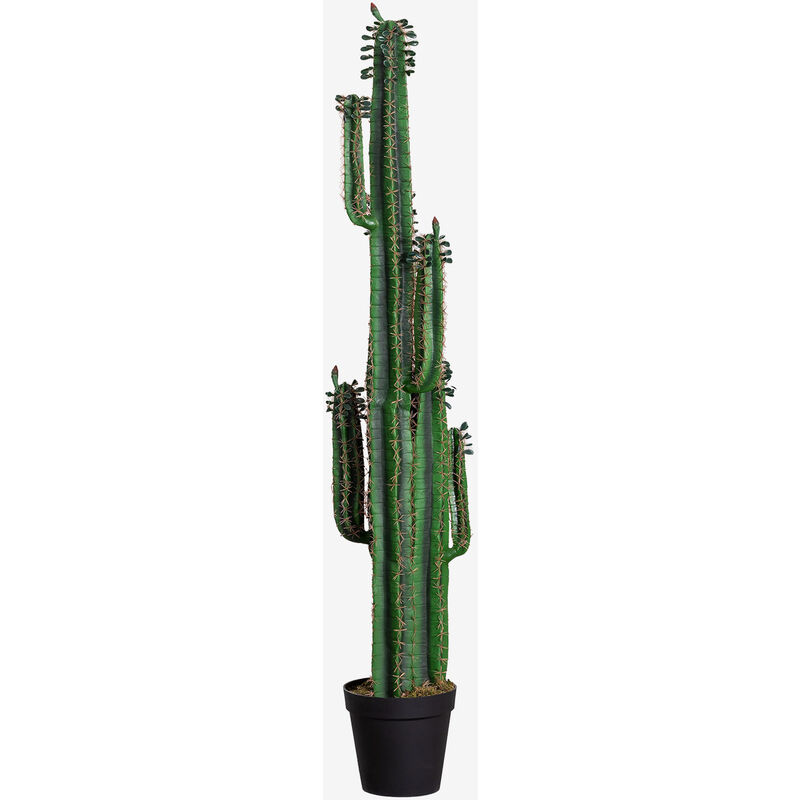 Image of Sklum - Cactus artificiale Cereus 190 cm ↑190 cm - ↑190 cm ~Ø33 cm