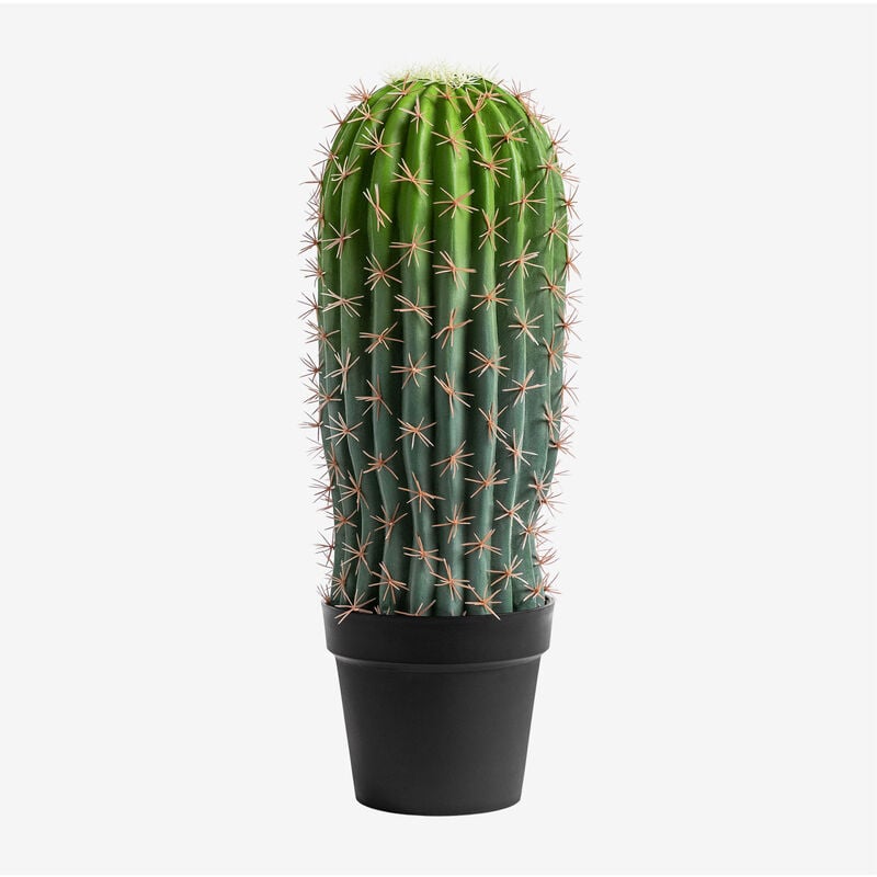 Sklum - Cactus artificiel Echinopsis 60 cm ↑60 cm - ↑60 cm