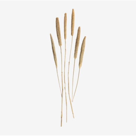 SKLUM Dekorativer Blumenstrauß Koty Creme-Beige