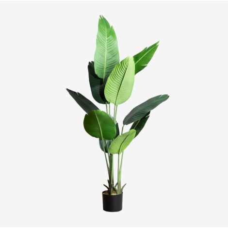 SKLUM Künstliche dekorative Bananenpflanze 160 cm  ↑160 cm                                 