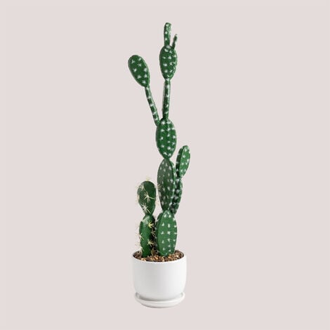 Kaktus deko zu Top-Preisen - Seite 2