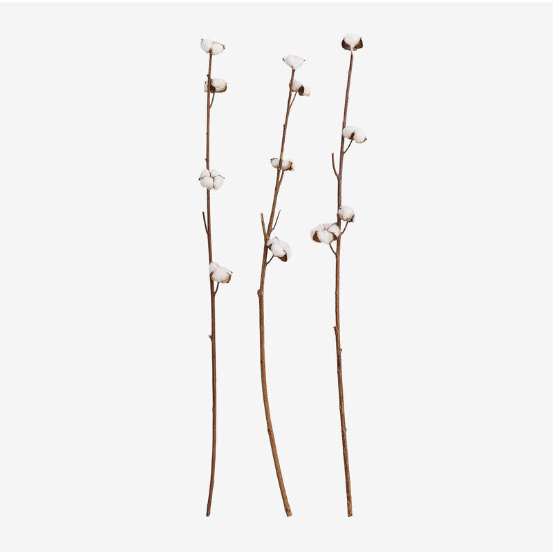 Sklum - Lot de 3 branches sèches décoratives Vedran Blanc - Blanc