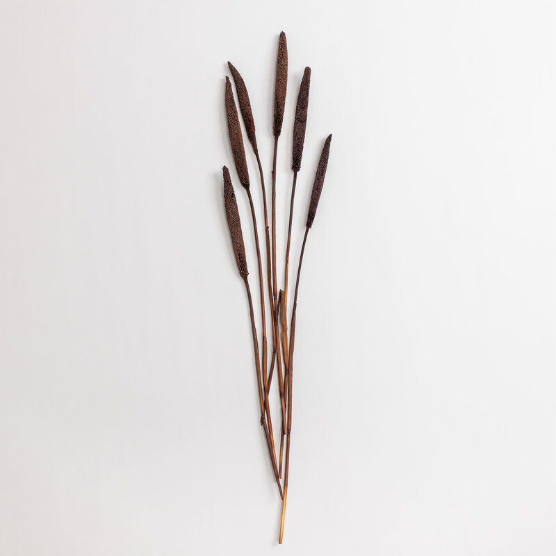 Sklum - Lot de 6 branches sèches décoratives Baballa Brun