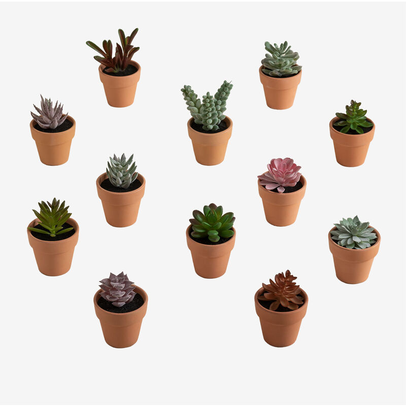 Image of Pack da 12 mini cactus artificiali Amery Multicolore Classic - Multicolore Classic ~Ø6,8 cm - Sklum