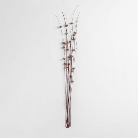 SKLUM Packung mit 10 getrockneten dekorativen Ziniazweigen Braun
