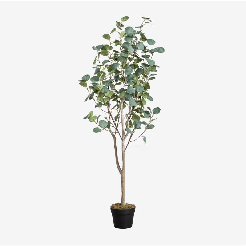 Pianta artificiale decorativa di eucalipto 130 cm ↑130 cm - Sklum