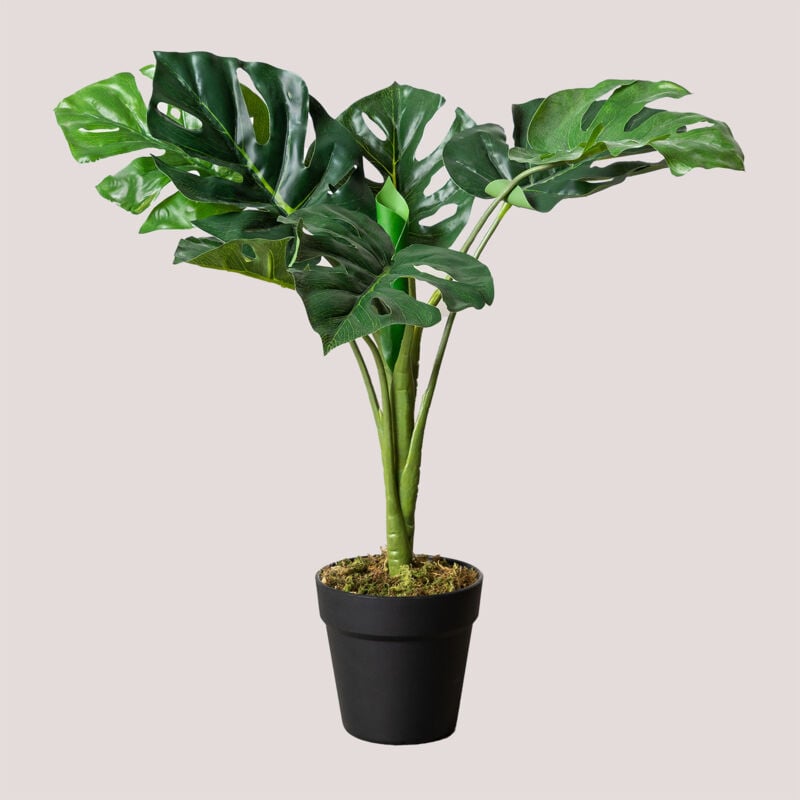 Pianta artificiale decorativa Monstera 70 cm ↑70 cm - Sklum