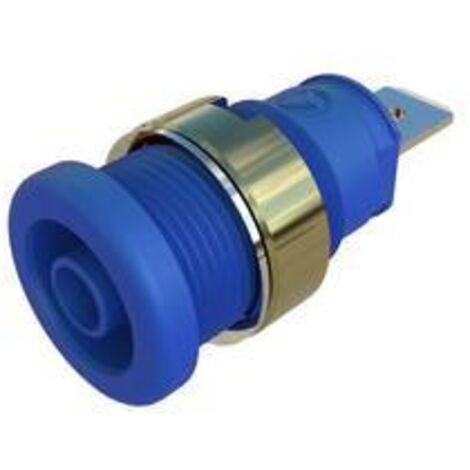 SKS Hirschmann SEB 2620 F6,3 Ni blau Prise encastrée de sécurité bleu 1 pc(s) X599922
