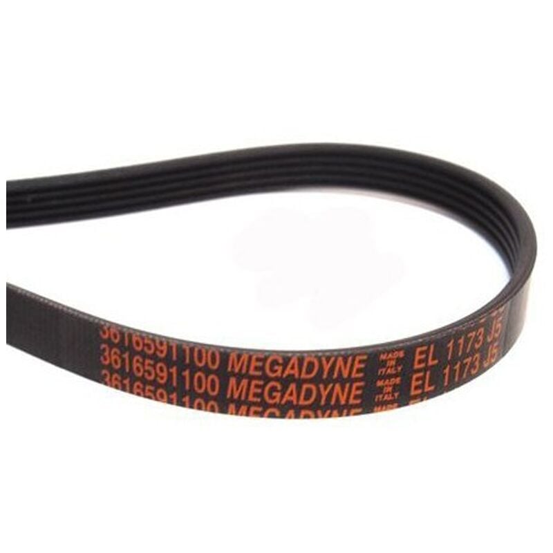 Reporshop - Slotted Belt Dryer Fagor Megadyne 1173 J5 Candy Otsein Elastica