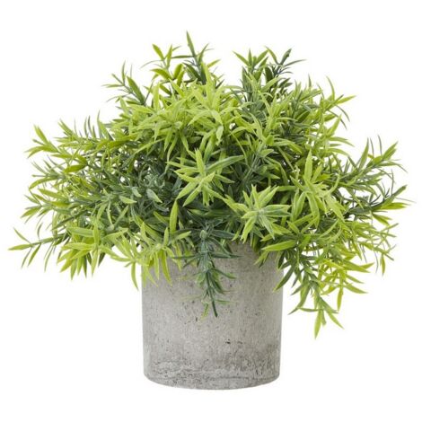 Small Bamboo Plant in Pot - Plastic - Height 20 cm - Green/Grey