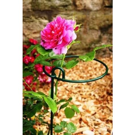Small Bunch Support Rust (Pack of 4) - Steel - L15 x W15 x H86 cm - Bare Metal/Ready to Rust
