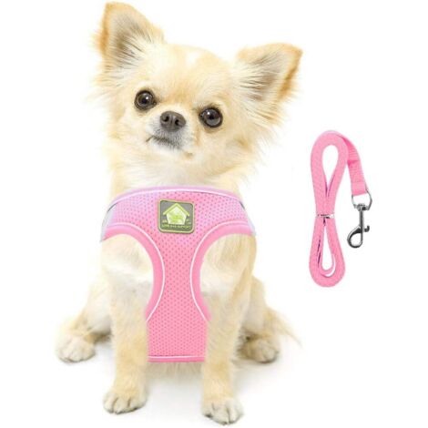 Small Dog Cat Harness Vest Harness Soft Reflective Mesh Adjustable Puppy Vest and Leash Set for Small and Medium Sized Dogs Blue XS (26-29cm chest)