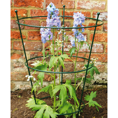 Small Peony Support (Pack of 2) - Steel - L40.6 x W40.6 x H63.5 cm - Bare Metal/Ready to Rust