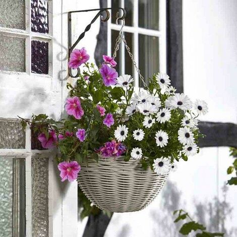 main image of "Smart Garden 35cm 14 Inch Rattan Effect Hanging Basket Seashell Cream Planter"