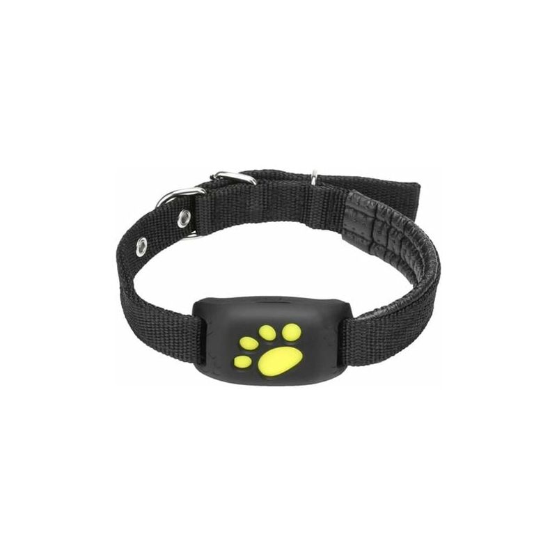 Rose - Smart Pet Collar with gps Tracker and Waterproof Light Activity Instructor for Cats and Dogs gps Anti-Lost Pet Tracker Pet Location