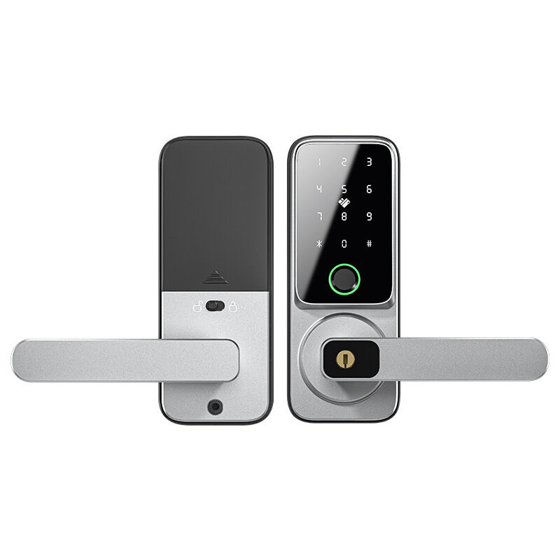 Smart Serrure Connectée tuya - Serrure porte à Code & Fingerprint, Intelligent Verrou Connecté avec clés et carte RFID, Electrique Cadenas Empreinte