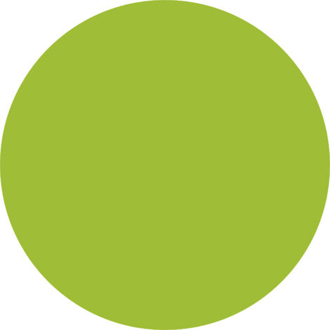 SMIT VISUAL, Symbole magnétique CERCLE, Ø 30 mm, lot de 20,