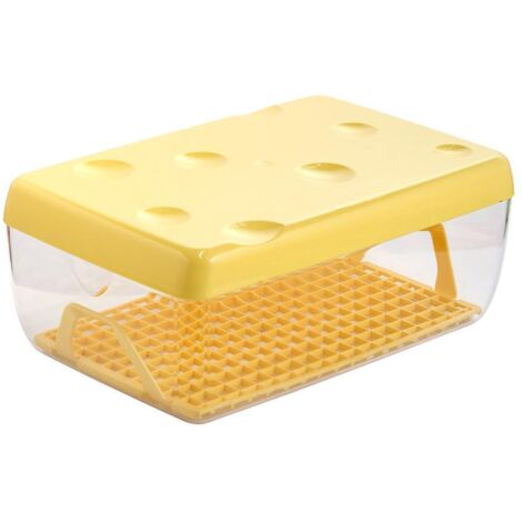 Snips Salva Formaggio con Coperchio Salvafreschezza e Griglia di Supporto