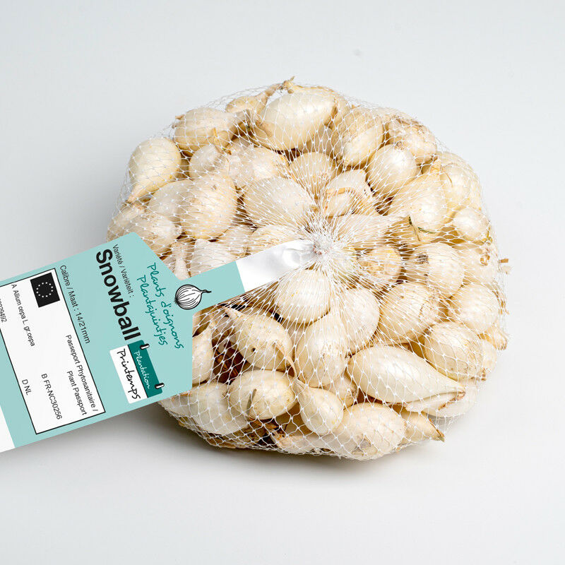 Debaere - Snowball (blanc) Bulbes d'Oignons a repiquer 500gr