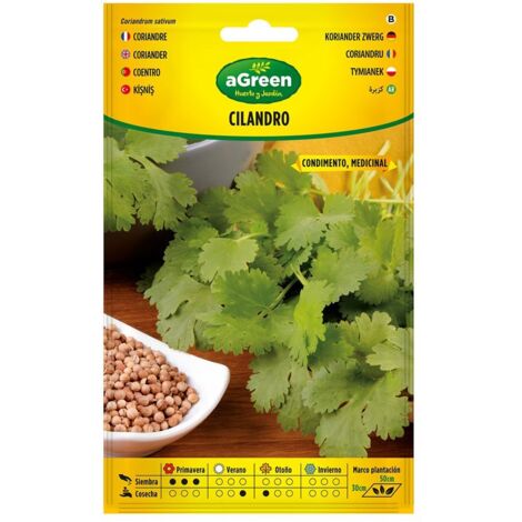 Sobre con semillas de cilantro Coriandrum Sativum 301015BOLSH Agreen