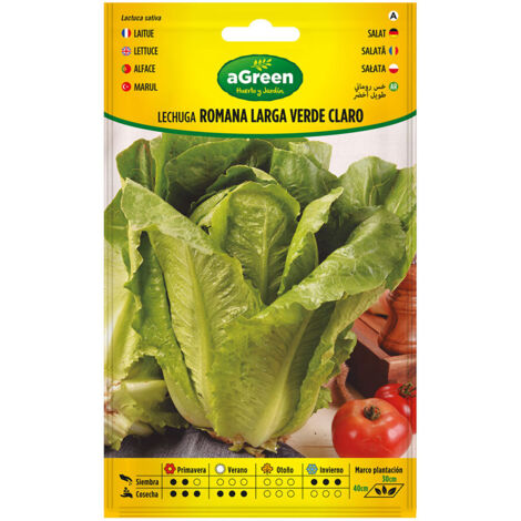 Sobre con semillas de lechuga romana larga verde 000440bolsh agreen