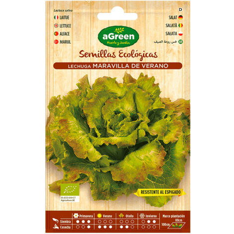 Sobre con semillas eco de lechuga maravilla agreen
