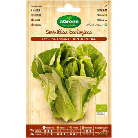 Sobre con semillas eco de lechuga romana larga agreen