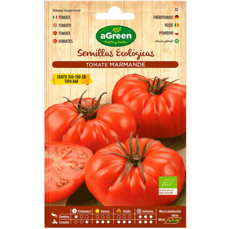 Sobre con semillas eco de tomate marmade raf agreen