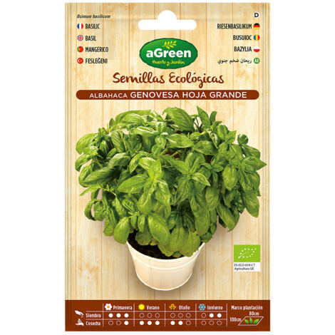Sobre de semillas Eco albahaca Genovesa Agreen