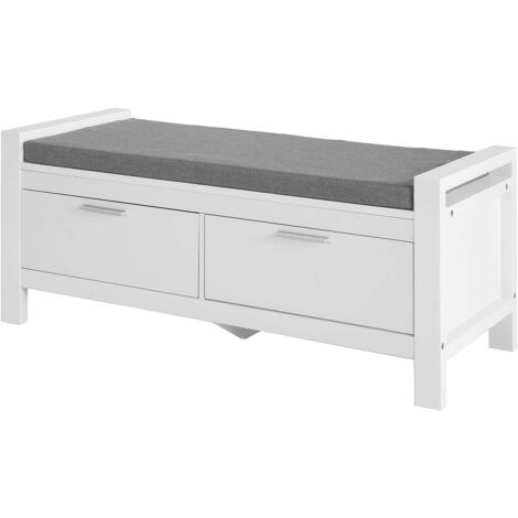Sobuy – Banc de rangement à chaussures avec coussin rembourré – Dimensions L100 x P40 x H40 cm – Matériau bois MDF – Capacité 120kg – FSR74W
