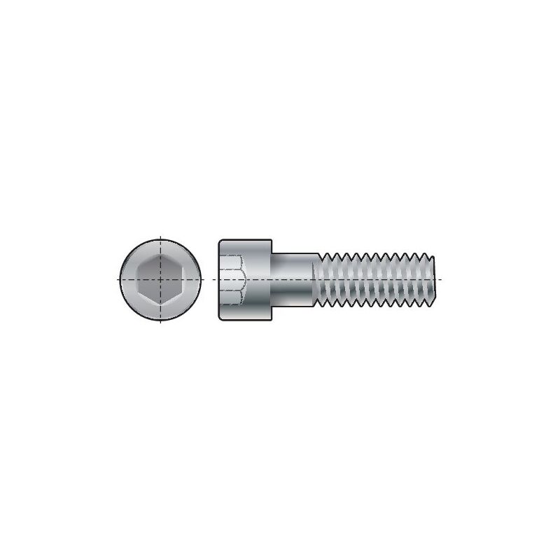 Qualfast M5X25 Socket Head Cap Screw A4 (GR-70)- you get 25