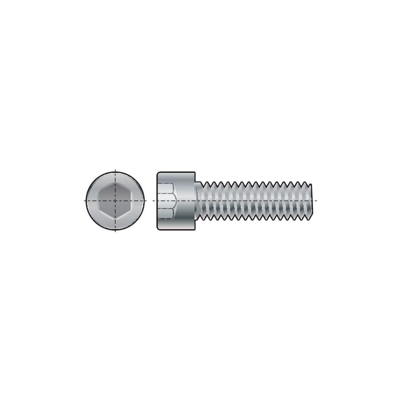 M8X40 Skt Head Cap Screw Fully Threaded Nylon pa (GR-6.6)- you get 10 - Qualfast