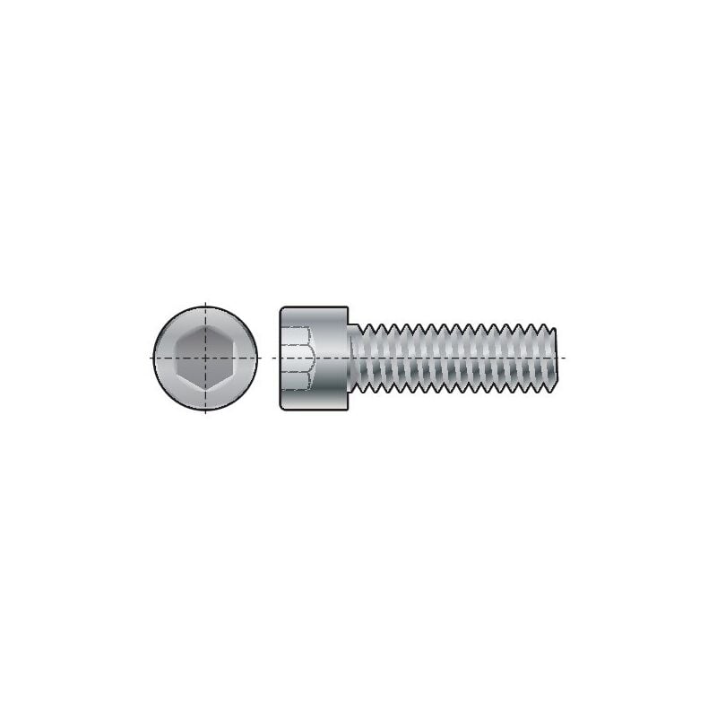 M6X20 Skt Head Cap Screw Fully Threaded Nylon pa (GR-6.6)- you get 10 - Qualfast