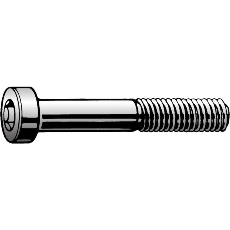 Qualfast - M8X16 Socket Low Head Cap Screw A2- you get 10