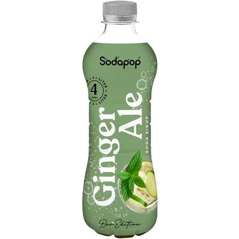 Sodapop Sirop pour boisson Ginger Ale Bar Sirup