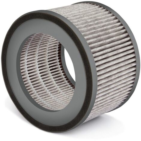 Soehnle 68106 Airfresh Clean 300 Ersatz-Filter Grau