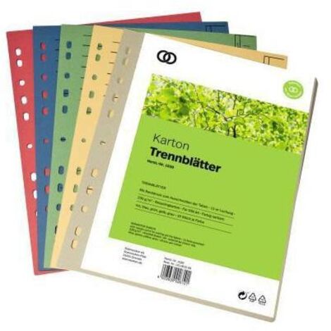 Soennecken Trennblatt oeco 1530 A4 230g sortiert 50St.